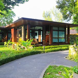Villa Suite